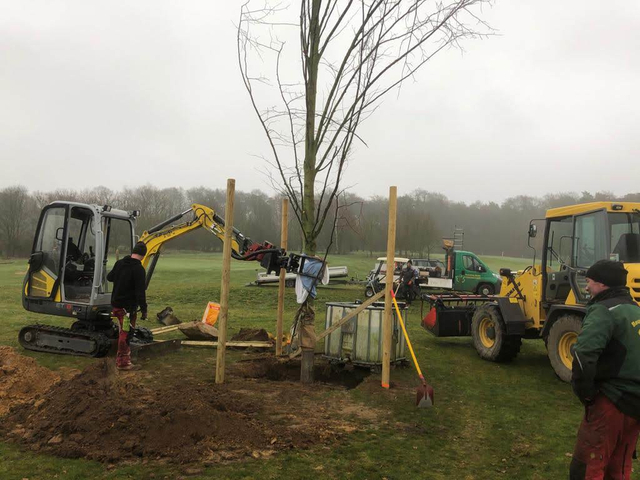 Wir pflanzen einen Baum