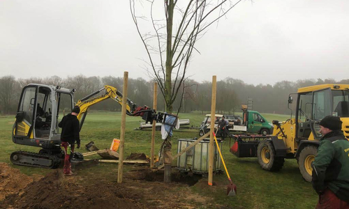 Wir pflanzen einen Baum